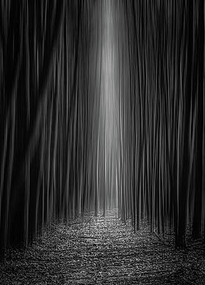 Beautiful Wall Art featuring the photograph The Ritual by Shannon Williams