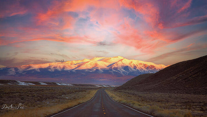 Landscape Photograph - The Road Less Traveled by DeAnna Lord