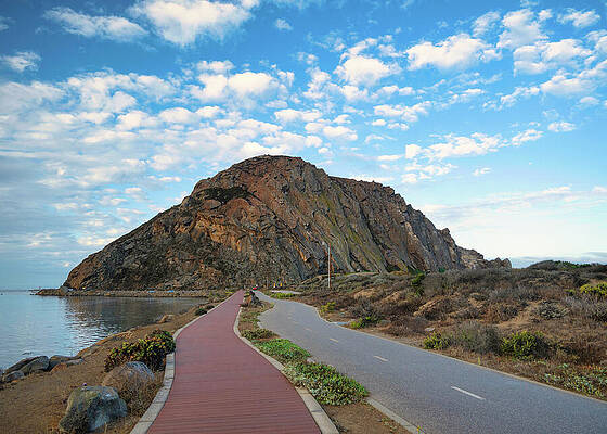 Wall Art featuring the photograph The Road To Morro Rock by Matthew DeGrushe