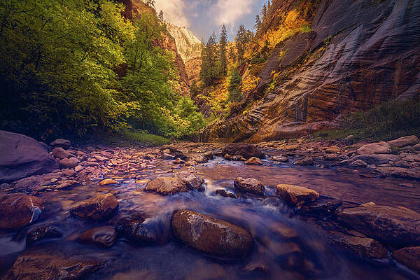 Wall Art featuring the photograph The Scenic Route by Slow Fuse Photography