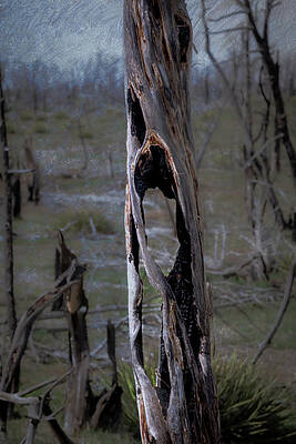 Wall Art featuring the photograph The Scream Inspired By Munch by Mary Lee Dereske