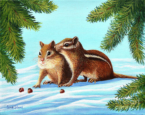 The Secret by Sarah Irland