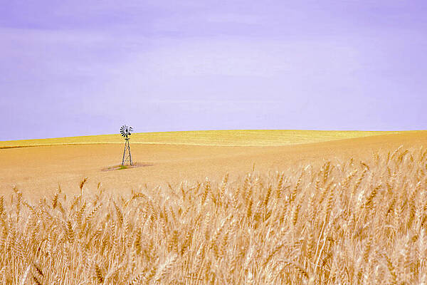 Sky Wall Art featuring the photograph THE SENTINEL Scene 207G by Sally Fuller