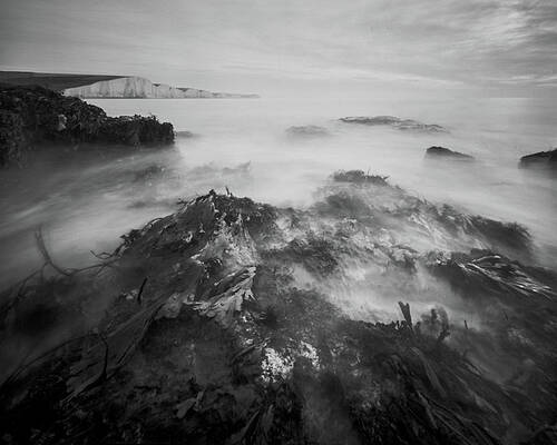 Moody Wall Art featuring the photograph The Seven Sisters, Low Tide by Will Gudgeon