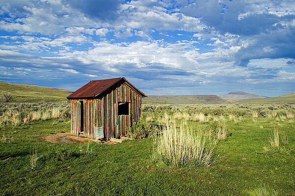 Rustic Wall Art featuring the photograph The Shack - Color by Mike Lee
