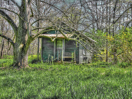 Photograph - The Shack by Randall Dill