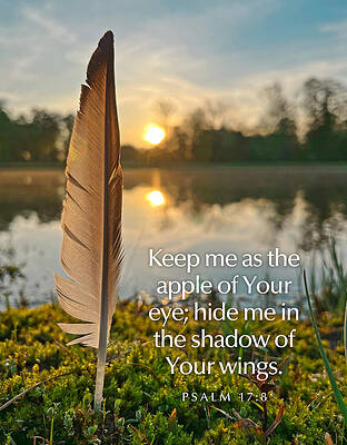 Southern Wall Art featuring the photograph The Shadow Of Your Wings by Greg Lane