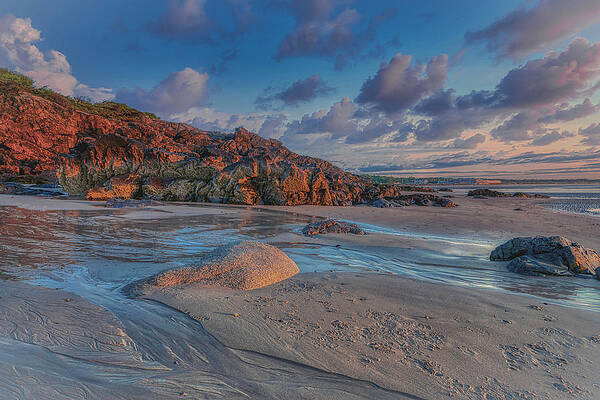 Wall Art featuring the photograph The Silence Of Morning by Penny Polakoff