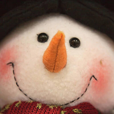 Wall Art featuring the photograph The Smiling Snowman Toy by Tatiana Travelways