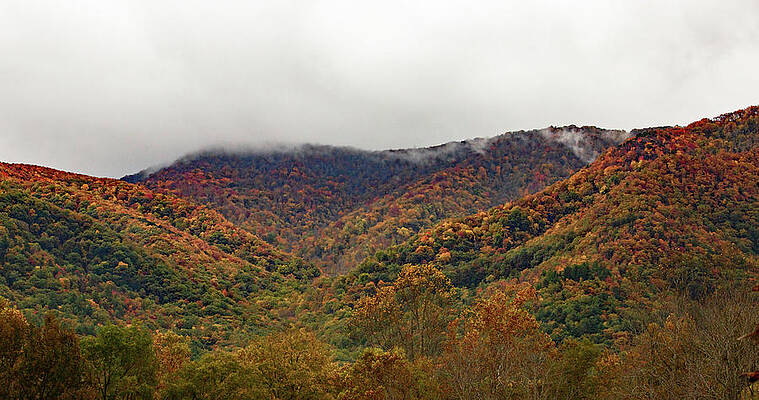 Wall Art featuring the photograph The Smoke In Smokies by Gina Fitzhugh
