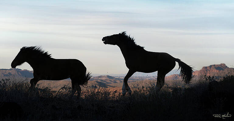 Mountain Wall Art featuring the photograph The Spirits Of Red Mountain. by Paul Martin