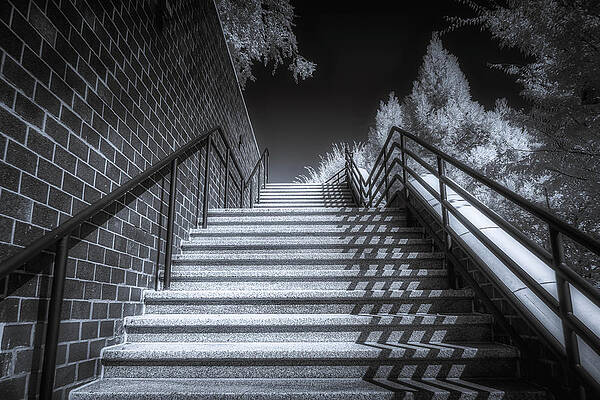 Wall Art featuring the photograph The Stairs by Penny Polakoff