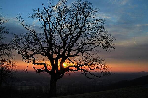 Wall Art featuring the photograph The Sun Is Up by Deb Beausoleil