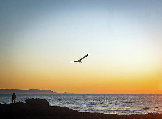 Wall Art featuring the photograph The Sunset And Me by Joe Schofield