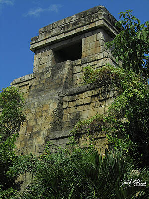 Nature Photograph - The Temple by David McKinney