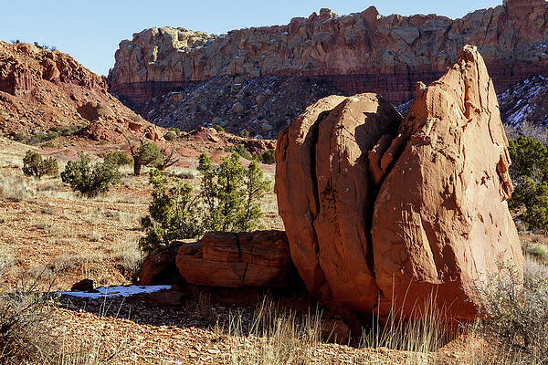 Sunset Photograph - The Three Amigos by Steve Templeton