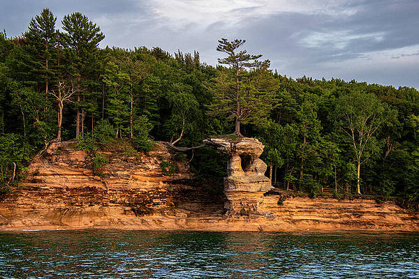 Michigan Photograph - The Tree Survives by Vi Ray