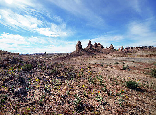 Wall Art featuring the photograph The Trona Pinnacles by Joe Schofield