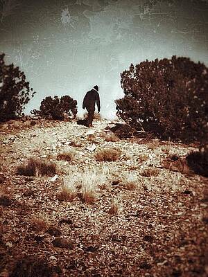 Wall Art featuring the photograph The Trudge Uphill by Mary Lee Dereske