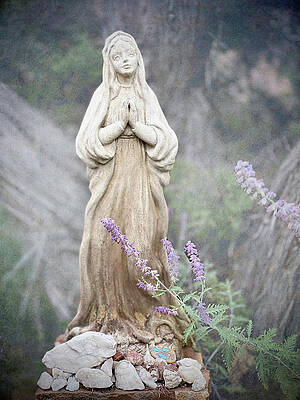 Wall Art featuring the photograph The Virgin Mary In The Garden Of The Monastery by Mary Lee Dereske