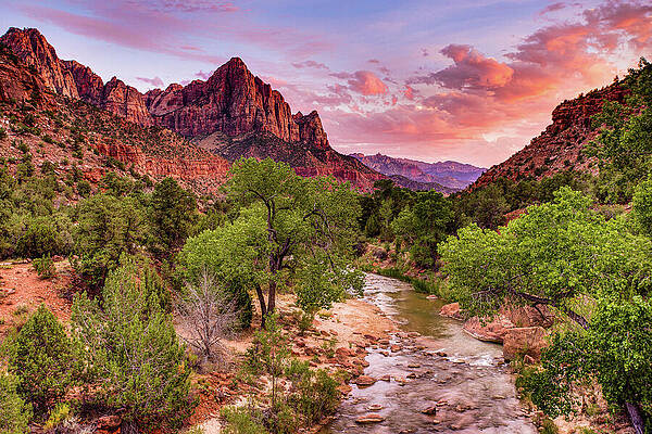 Wall Art featuring the photograph The Watchman Never Sleeps - Zion National Park by Adam Mateo Fierro