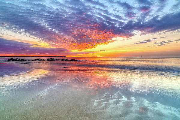 Wall Art featuring the photograph The Wonder Of A New Day by Penny Polakoff