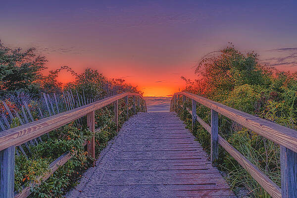 Maine Wall Art featuring the photograph The World Awaits by Penny Polakoff