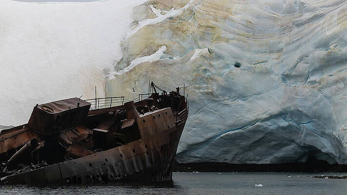 Penguin Wall Art featuring the photograph The Wreck Of The Governoren by Dee Potter