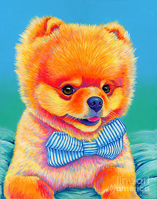 Pet Portrait Wall Art featuring the painting Theo The Pomeranian by Rebecca Wang