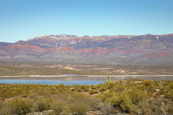 Wall Art featuring the photograph Theodore Roosevelt Lake by Steve Templeton