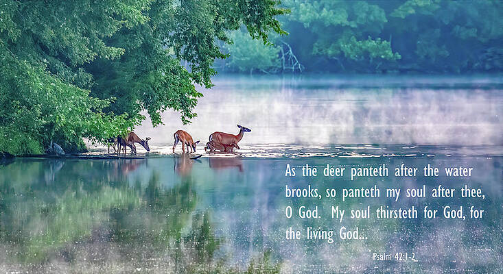 Tennessee Photograph - Thirsty For More Than Water by Marcy Wielfaert