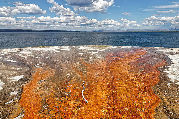 Natural Wall Art featuring the photograph This Way To Yellowstone Lake by KJ Swan