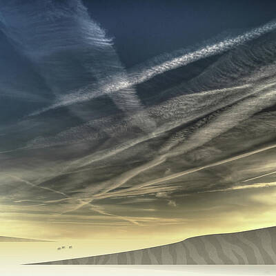 Elephants and Tiger in Desert Sky Wall Art