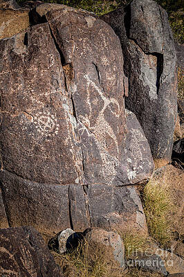 Wall Art featuring the photograph Three Rivers Petroglyphs #4 by Blake Webster
