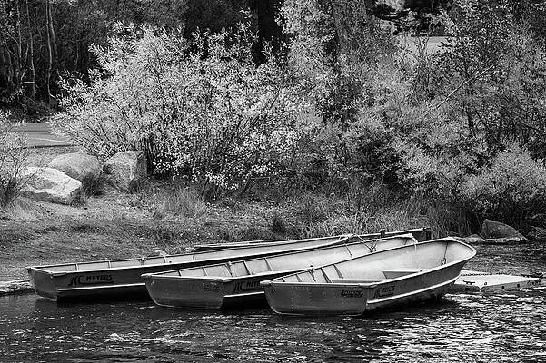 Wall Art featuring the photograph Three Small Metal Boats by Bonnie Colgan