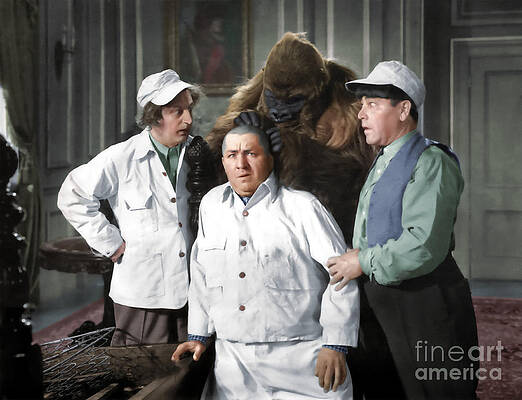 Funny Wall Art featuring the photograph Three Stooges And The Gorilla by Franchi Torres