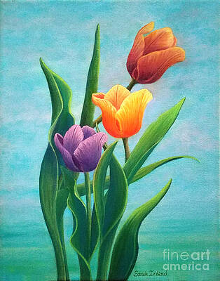 Tulips on My Mind by Sarah Irland