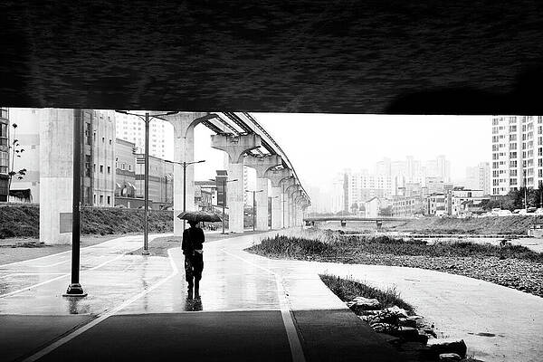 Wall Art featuring the photograph Through by Mia Badenhorst