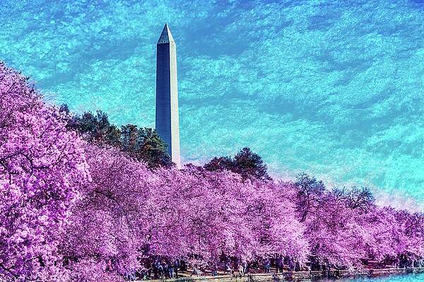 Wall Art featuring the photograph Tidal Basin With A Lichen Texture by Bruce Block
