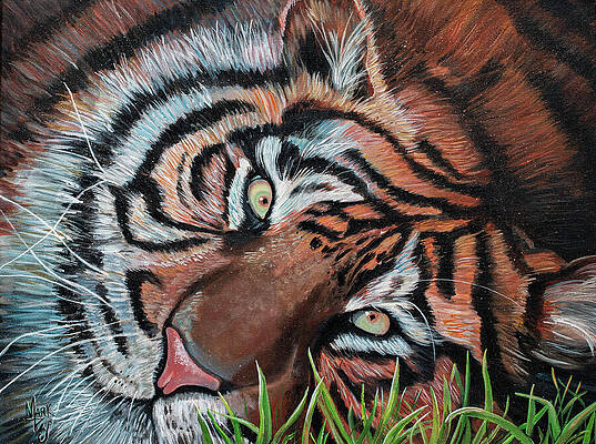 Majestic Painting - Tiger Eyes by Mark Ray