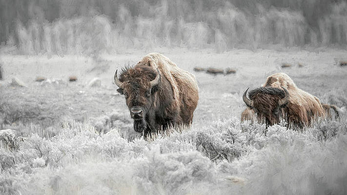 Wyoming Wall Art featuring the digital art Tighter Shades by Chris Allmendinger