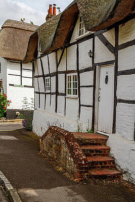 Wall Art featuring the photograph Timber And Thatch by Shirley Mitchell