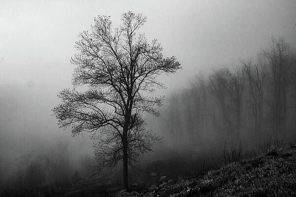 Wall Art featuring the photograph Timeless Silence In The Blue Ridge Mountains by Deb Beausoleil
