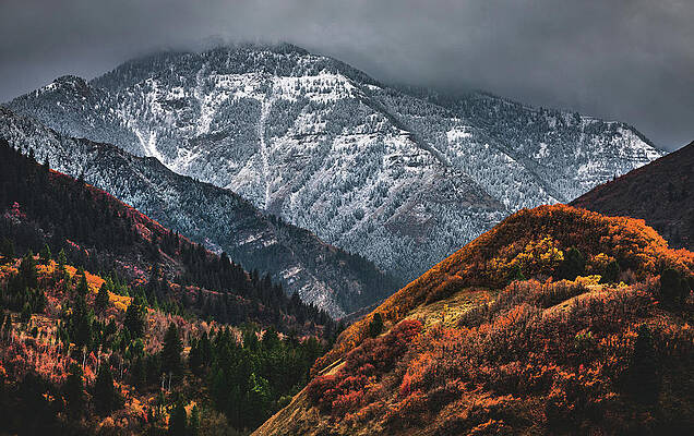 American Photograph - Timpanogos Autumn Snow, Utah by Abbie Warnock