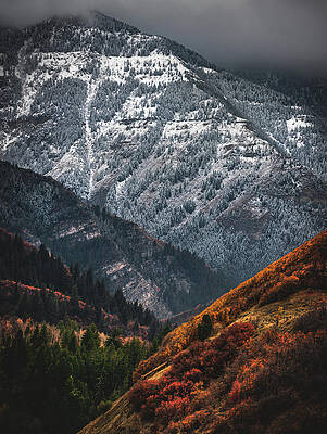 Canyon Photograph - Timpanogos Autumn Snow, Utah - Vertical by Abbie Warnock