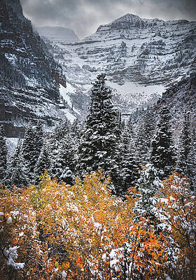 American Photograph - Timpanogos Fire And Ice 3, Utah by Abbie Warnock