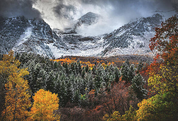 American Photograph - Timpanogos Fire And Ice, Utah by Abbie Warnock