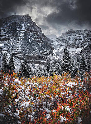 Canyon Photograph - Timpanogos Fire And Ice, Utah - Vertical by Abbie Warnock