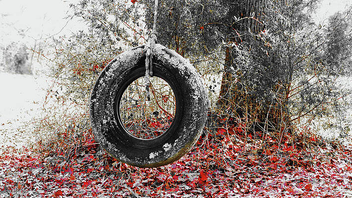 South Carolina Wall Art featuring the photograph Tire Swing by Brian Hare