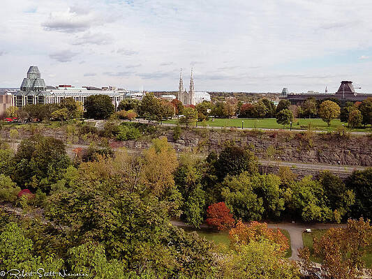 Tree Photograph - Toronto by Robert Niemeier